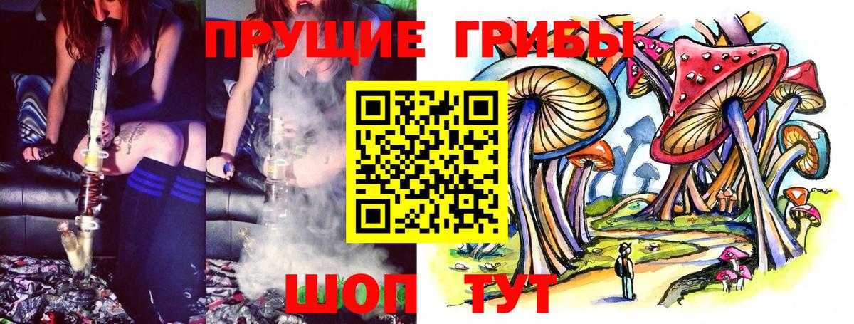 Галлюциногенные грибы прущие грибы Новозыбков