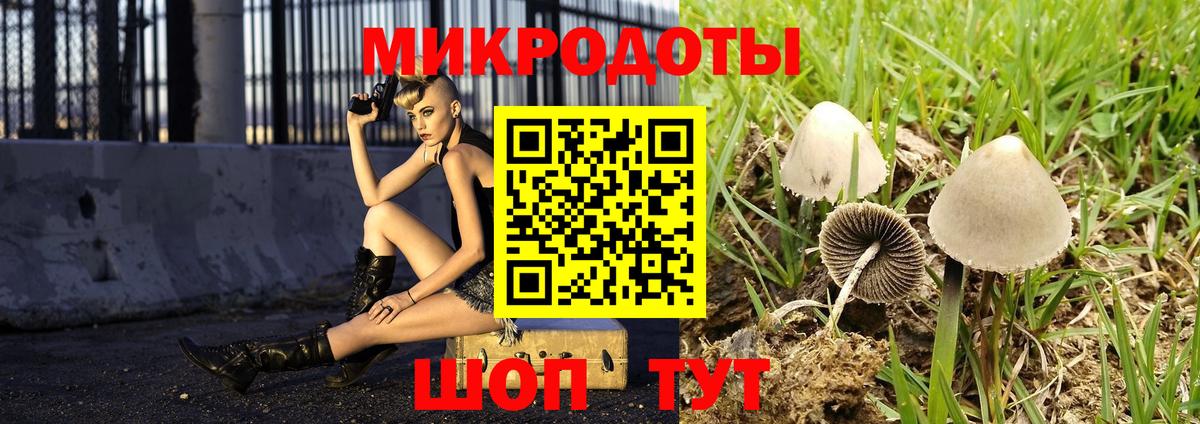 Галлюциногенные грибы MAGIC MUSHROOMS  Вход с VPN  Новозыбков 